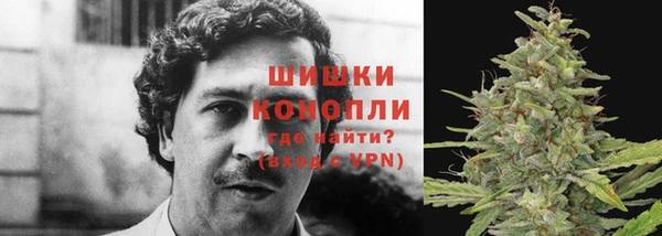 твердый Кулебаки