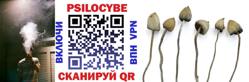 Псилоцибиновые грибы GOLDEN TEACHER  OMG ссылки  Могоча 