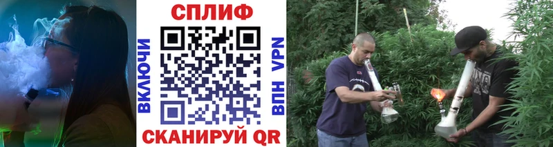 OMG tor  даркнет Telegram  Каннабис Amnesia  продажа наркотиков  Могоча 