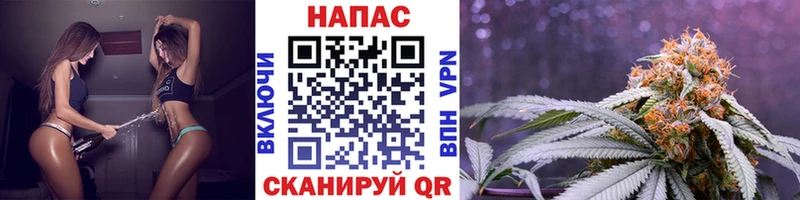 МАРИХУАНА планчик Могоча